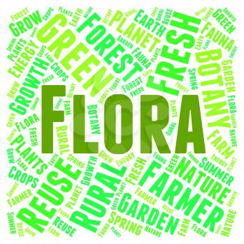 Flora Word Meaning Plant Life And Verdure