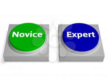Novice Expert Buttons Showing Beginner And Expertise