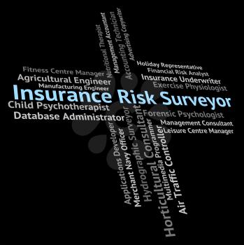 Insurance Risk Surveyor Indicating Risks Insured And Contracts