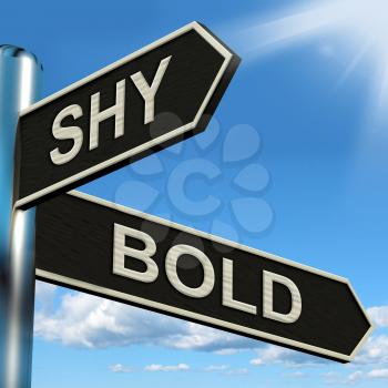 Shy Bold Signpost Meaning Introvert Or Extrovert