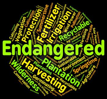 Endangered Word Indicating At Risk And Threatened