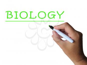 Biology Word Showing Study Of Animals And Plants
