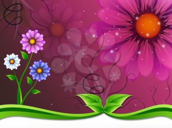Flowers Background Meaning Flowering And Outside Beauty
