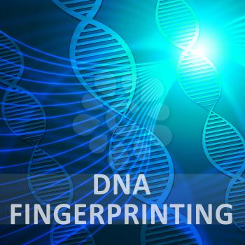 Dna Fingerprinting Helix Meaning Genetic Profiling 3d Illustration