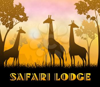 Safari Lodge Giraffes Showing Wildlife Reserve 3d Illustration