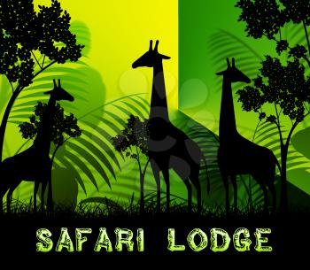 Safari Lodge Giraffes Means Wildlife Reserve 3d Illustration
