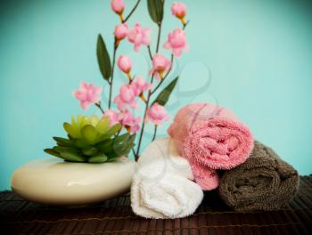 Beauty Day Spa Wellness Means Natural Relaxing Salon