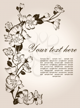 Spring floral background, hand drawn vector flowers