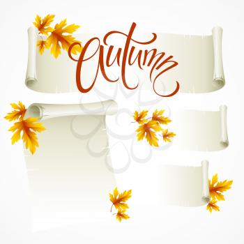 Vector illustration - scroll frame from autumn leaves EPS 10