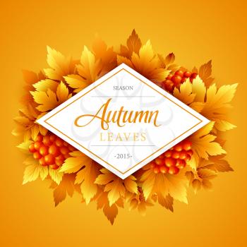 Autumn typographic. Fall leaf. Vector illustration EPS 10