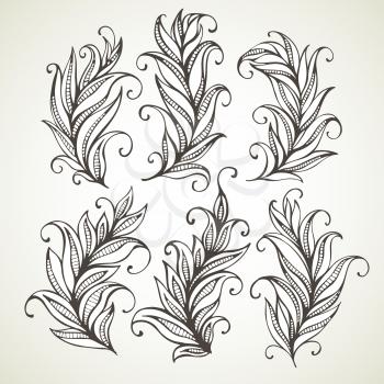 Feathers leaves. Hand drawn  vector illustration. EPS 10