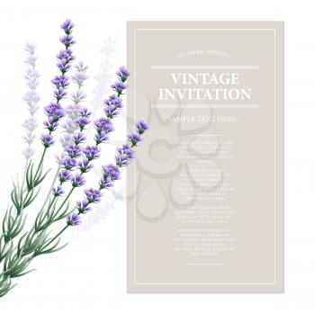 Vintage card with lavender flowers. Vector illustration EPS10