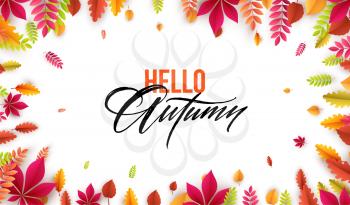 Hello autumn. Different colored autumn leaves background. Vector illustration EPS10