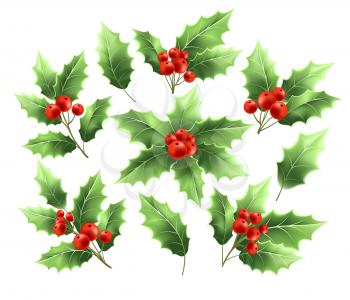 Christmas holly branches realistic illustrations set. Holly tree twigs with green leaves and red berries collection. Xmas decorative, ornamental plant. Greeting card design elements. Isolated vector