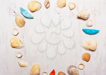 pattern, composition of shells on a white background, top view.
