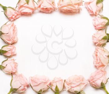 frame of pink flowers on white background.Flat lay, top view