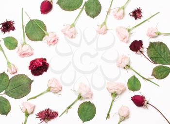 round frame of pink, red flowers on white background..Flat lay, top view