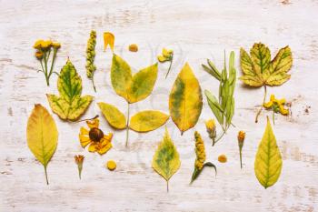 Yellow leaves on a wooden background. View from above, flat. Concept of Autumn