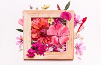 Coral pink flowers in frame. Pastel floral background. Top view, flat