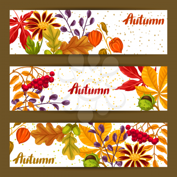 Banners with autumn leaves and plants. Design for advertising booklets, banners, flayers, cards.