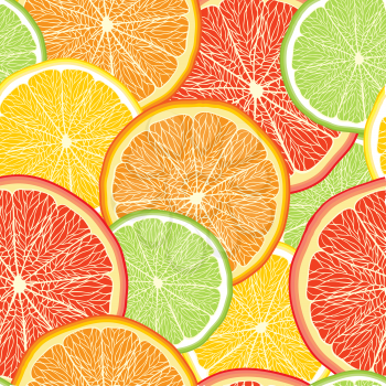 Abstract vector color background with citrus fruit.