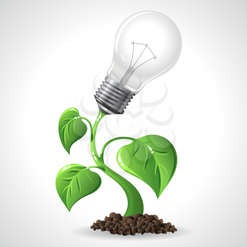 Green energy concept - Power saving light bulbs.