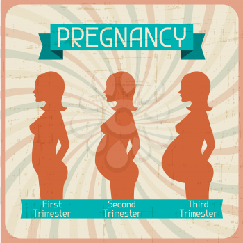 Silhouette of a pregnant woman in the three trimesters.
