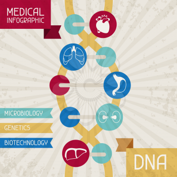 Medical infographic DNA abstract background.