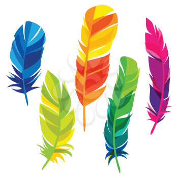 Set of abstract bright transparent feathers on white background.