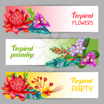 Banners with Thailand flowers. Tropical multicolor plants, leaves and buds.