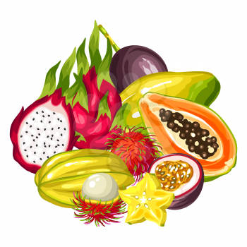Exotic tropical fruits collection. Illustration of asian plants.