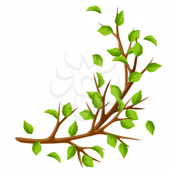 Summer branch of tree and green leaves. Seasonal illustration.