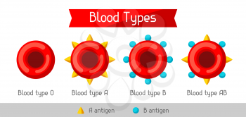 Set of blood cells types. Medical and healthcare infographic.