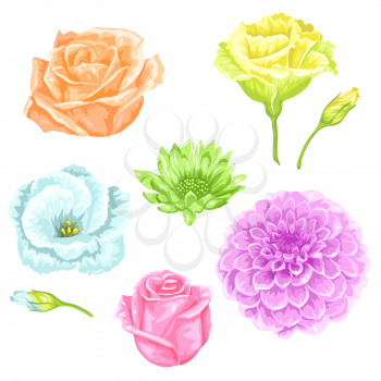 Set of decorative delicate flowers. Objects for decoration wedding invitations, romantic cards.