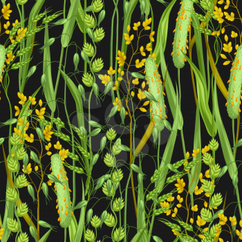 Seamless pattern with herbs and cereal grass. Floral ornament of meadow plants.