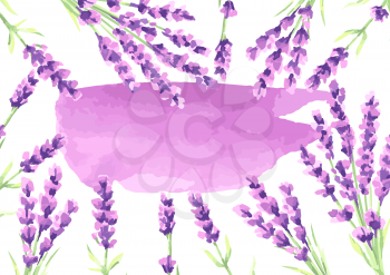 Lavender flowers background design. Watercolor natural illustration of Provence herbs.