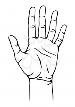 Illustration of human hand. Female palm gesture.