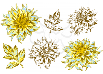 Set of fluffy yellow dahlias and leaves. Beautiful decorative flowers.