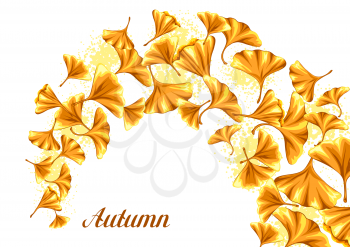 Background with ginkgo biloba leaves. Natural illustration of autumn leaves.