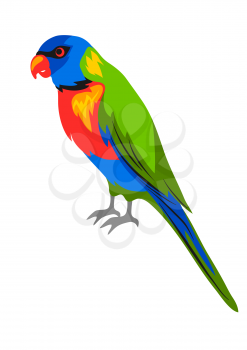 Illustration of rainbow lorikeet. Tropical exotic bird isolated on white background.