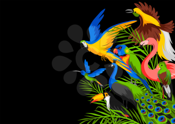 Background with tropical exotic birds. Wild fauna of jungle and rainforest.