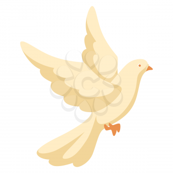 Illustration of white dove. Beautiful pigeon faith and love symbol.
