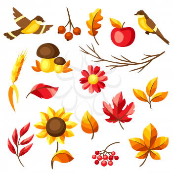Set of autumn leaves and items. Illustration of foliage and flowers.