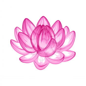 Illustration of lotus flower. Water lily decorative image. Natural tropical plants.