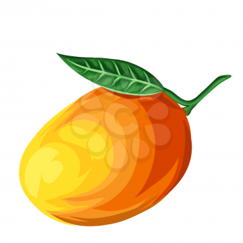Stylized illustration of mango. Image for design and decoration. Object or icon in hand drawn style.