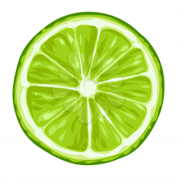 Stylized illustration of lime. Image for design and decoration. Object or icon in hand drawn style.