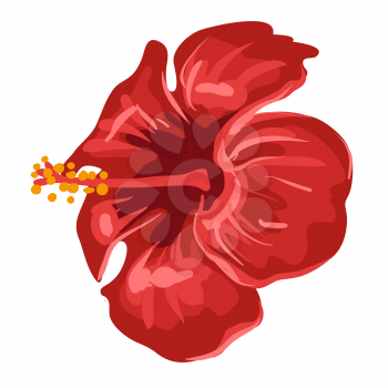 Stylized illustration of hibiscus flower. Image for design and decoration. Object or icon in hand drawn style.