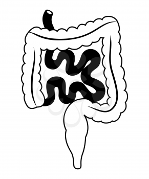 Illustration of intestines internal organ. Human body anatomy. Health care and medical education icon.