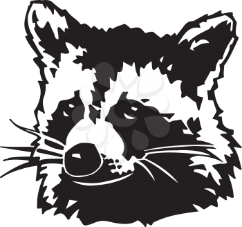 Coons Clipart