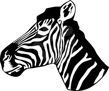 Zebras Clipart